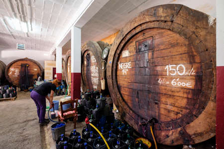 Mallorca, balearic islands, spain, europeの写真素材