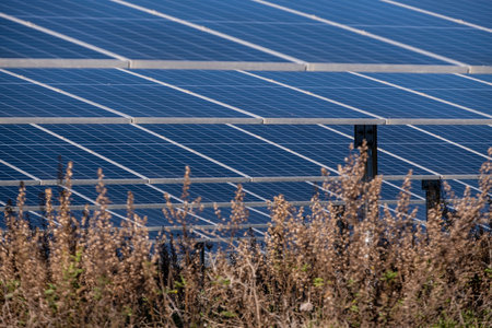 Buniferri photovoltaic park, solar energy plates, Llucmajor, Mallorca, Balearic Islands, Spainの写真素材