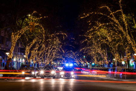 trees with Christmas lighting, Palma, Mallorca, Balearic Islands, Spain