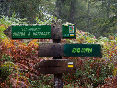 Oak grove of Ucieda, Saja-Besaya natural park, Cantabria, Spainの写真素材