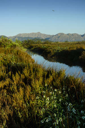 Es Grau, foothills of Sierra de Tramuntana,L'Albufereta Nature Reserve, PollenÃ§a, Mallorca, Balearic Islands, Spainの写真素材
