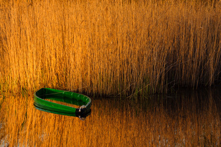 National park Tablas de Daimiel, Ciudad Real, Castilla-La Mancha, Spainの写真素材