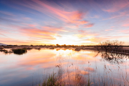 Tablas de Daimiel national park, Ciudad Real, Castilla-La Mancha, spain, europeの写真素材