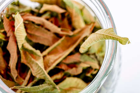 dried leaves of Aloysia citrodora, lemon verbena