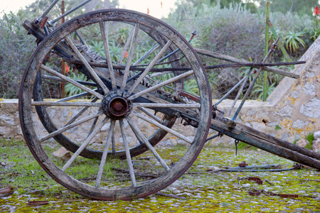 S' ArboÃ§ar.Banyalbufar.Sierra de Tramuntana.Mallorca.Balearic Islands. Spain.の写真素材