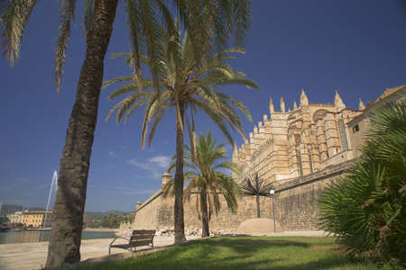 Palma Cathedral (La Seu)(XIV-XVI century).Palma.Majorca.Balearic Islands.Spain.の写真素材