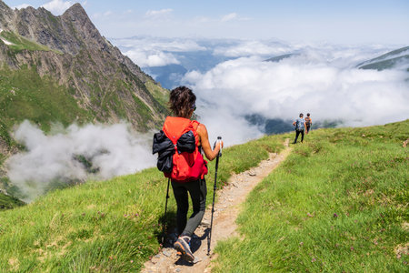 Descending towards the Freche valley, Pyrenean mountain range, Franceのeditorial素材