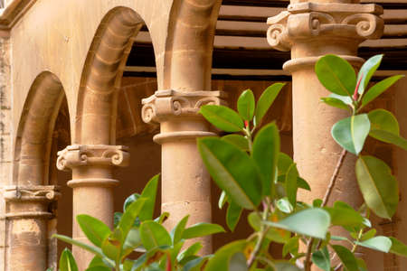 Cloister of Monti-Sion, Es Call (Juderia). Historic center. Palma. Majorca. Balearic Islands. Spain.の写真素材