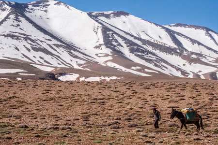 Berber muleteer and his mule in front of Aslad peak, 3878 meters, Plateau de Tarkeddit, MGoun trek, Atlas mountain range, morocco, africaのeditorial素材