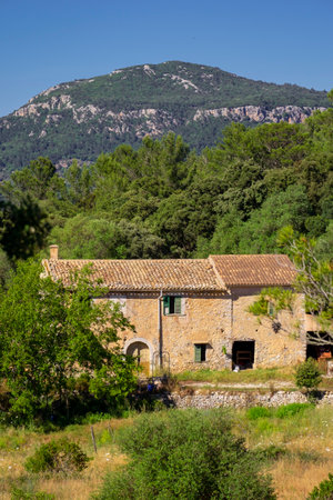 Sa Mola, Galilea, Puigpunyent, Mallorca, balearic islands, Spainの写真素材