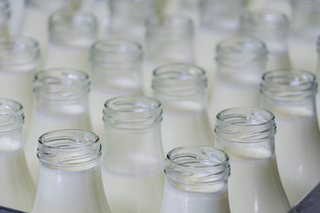 fresh milk, Sa Teulera farm, Petra, Mallorca, Balearic Islands, Spainの写真素材