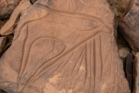 petroglyph of a gazelle, cave site of AÃ¯t Ouazik, late Neolithic, Morocco, Africaの写真素材