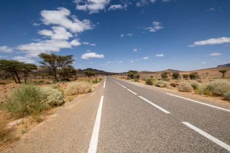 road through desert landscape, Taghazout, Morocco, Africaの写真素材