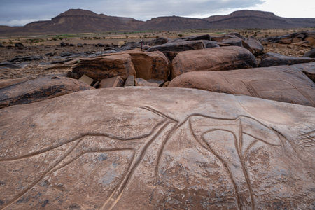 petroglyph, AÃ¯t Ouazik rock deposit, late Neolithic, Morocco, Africaの写真素材