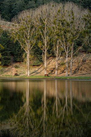 Ouiouane, province of KhÃ©nifra, Morocco, Africaの写真素材