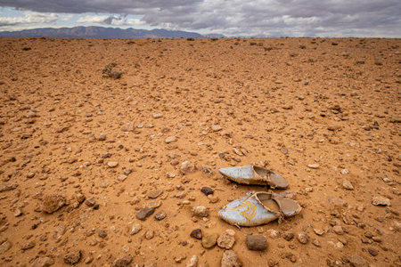Maghreb espadrille lost in the desert, Muluya valley. Middle atlas. Morocco, Africaの写真素材