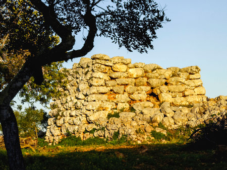Talaiotic settlement of Capocorb Vell (Bronze Age). Llucmajor. Migjorn region. Majorca. Balearic Islands.Spain.の写真素材