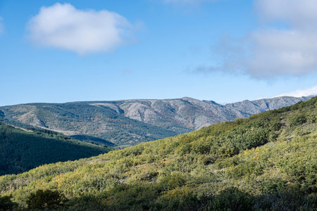 Sierra Norte de Guadalajara Natural Park, Cantalojas, Guadalajara, Spainの写真素材