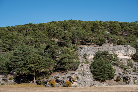 Cantalojas Pines, Guadalajara, Spainの写真素材