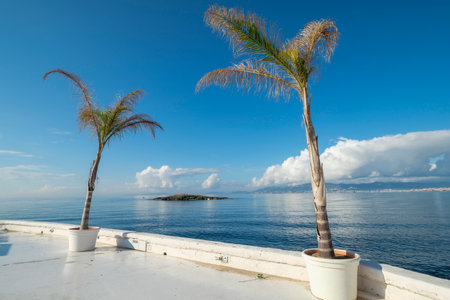 Palm trees on the deck of a boat in the Caribbean Seaの写真素材