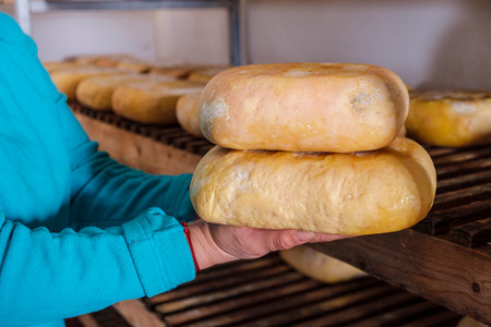 hands holding two cheeses, Es Tudons cheesemaking, Ciutadella, Menorca, Balearic Islands, Spainの写真素材