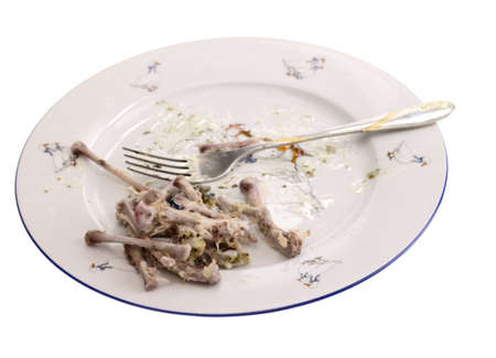 The plate with chiken bones. Isolated on whiteの写真素材