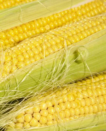 fresh taste corn as food background. not isolatedの写真素材