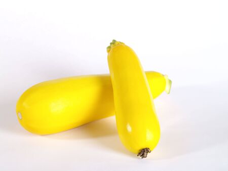 Fresh yellow marrow with drop shadow. is not isolated imageの写真素材