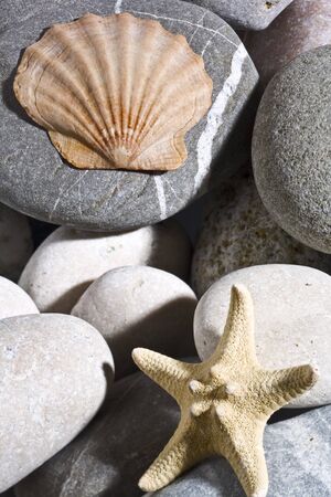 marine background. sea star and rolling stones