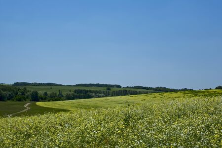 Green hills under the blue summer skiesの写真素材
