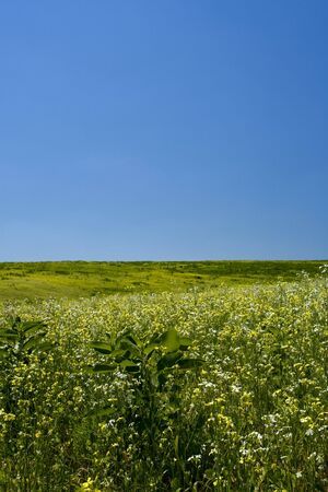 Green hills under the blue summer skiesの写真素材