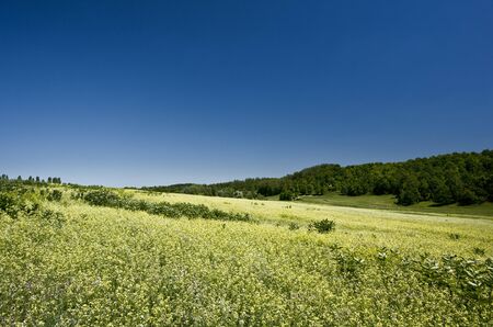 Green hills under the blue summer skiesの写真素材