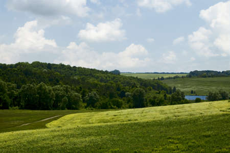 Green hills under the blue summer skies