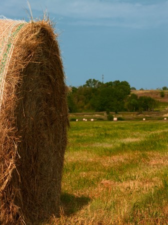 A field of straw gathered into multiple bales of hayの写真素材