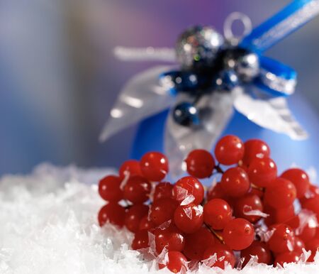 Under the Northern Lights. Christmas still life on the snow with snowball berriesの写真素材