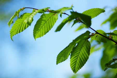 abstract natural backgrounds with beautiful bokehの写真素材