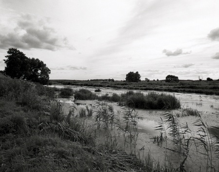inferno. rural landscape, scanned infrared film sourceの写真素材