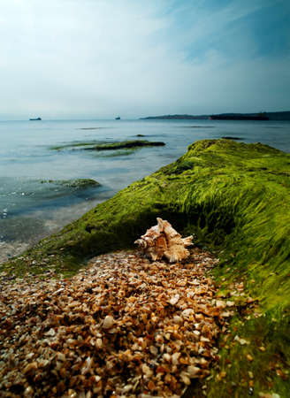 Summer time on the sea. Shell over sand close to rock