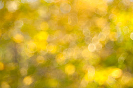autumn bokeh, abstract background の写真素材