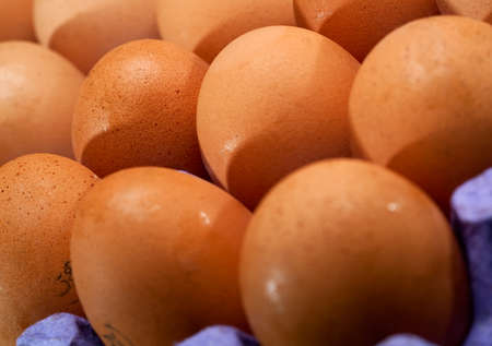 Tray with lot of fresh raw eggs as food backgroundsの写真素材