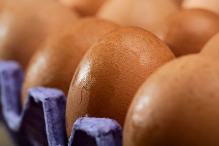 Tray with lot of fresh raw eggs as food backgroundsの写真素材