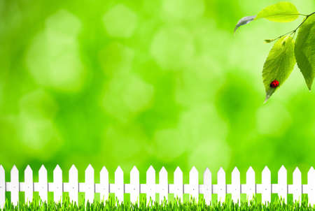 Summer backgrounds with bokeh, grass and white fenceの写真素材