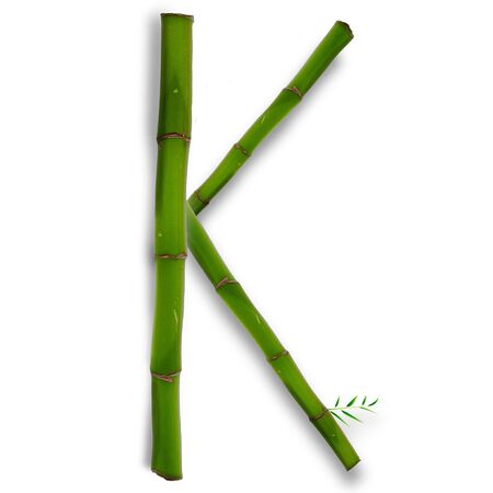 One capital letter of bamboo alphabet with shadow over whiteの写真素材