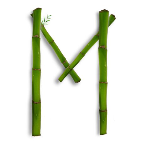 One capital letter of bamboo alphabet with shadow over whiteの写真素材