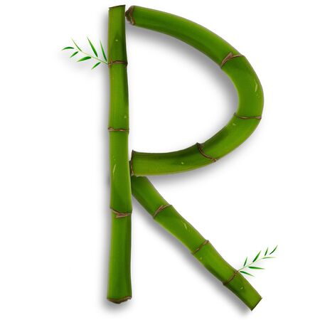 One capital letter of bamboo alphabet with shadow over whiteの写真素材