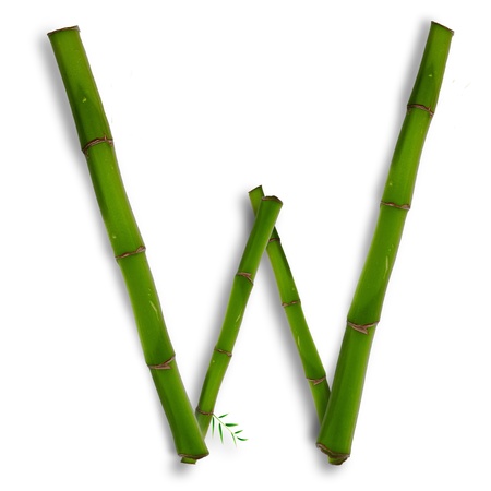 One capital letter of bamboo alphabet with shadow over whiteの写真素材