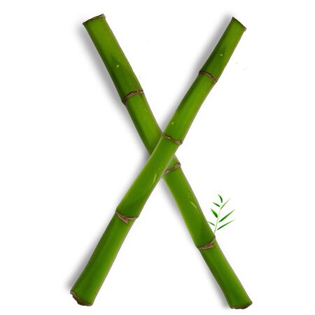 One capital letter of bamboo alphabet with shadow over whiteの写真素材