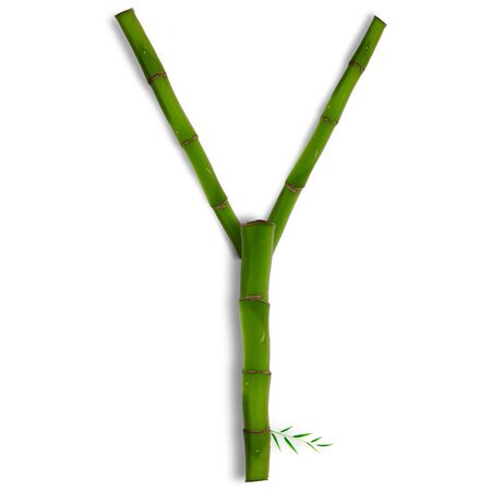 One capital letter of bamboo alphabet with shadow over whiteの写真素材