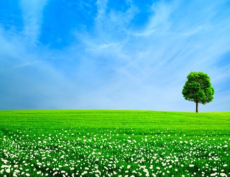 Abstract rural landscape  Green meadow under the blue skiesの写真素材