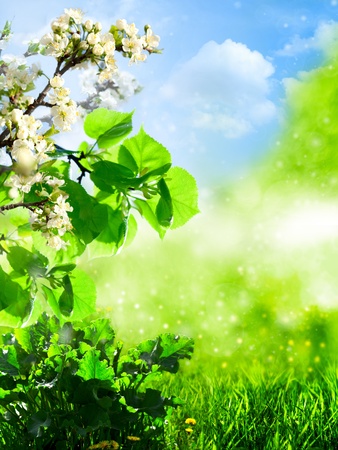 Abstract summer backgrounds with green grass and apple treeの写真素材